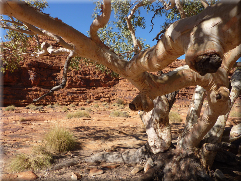 foto Parco nazionale Uluru Kata Tjuta